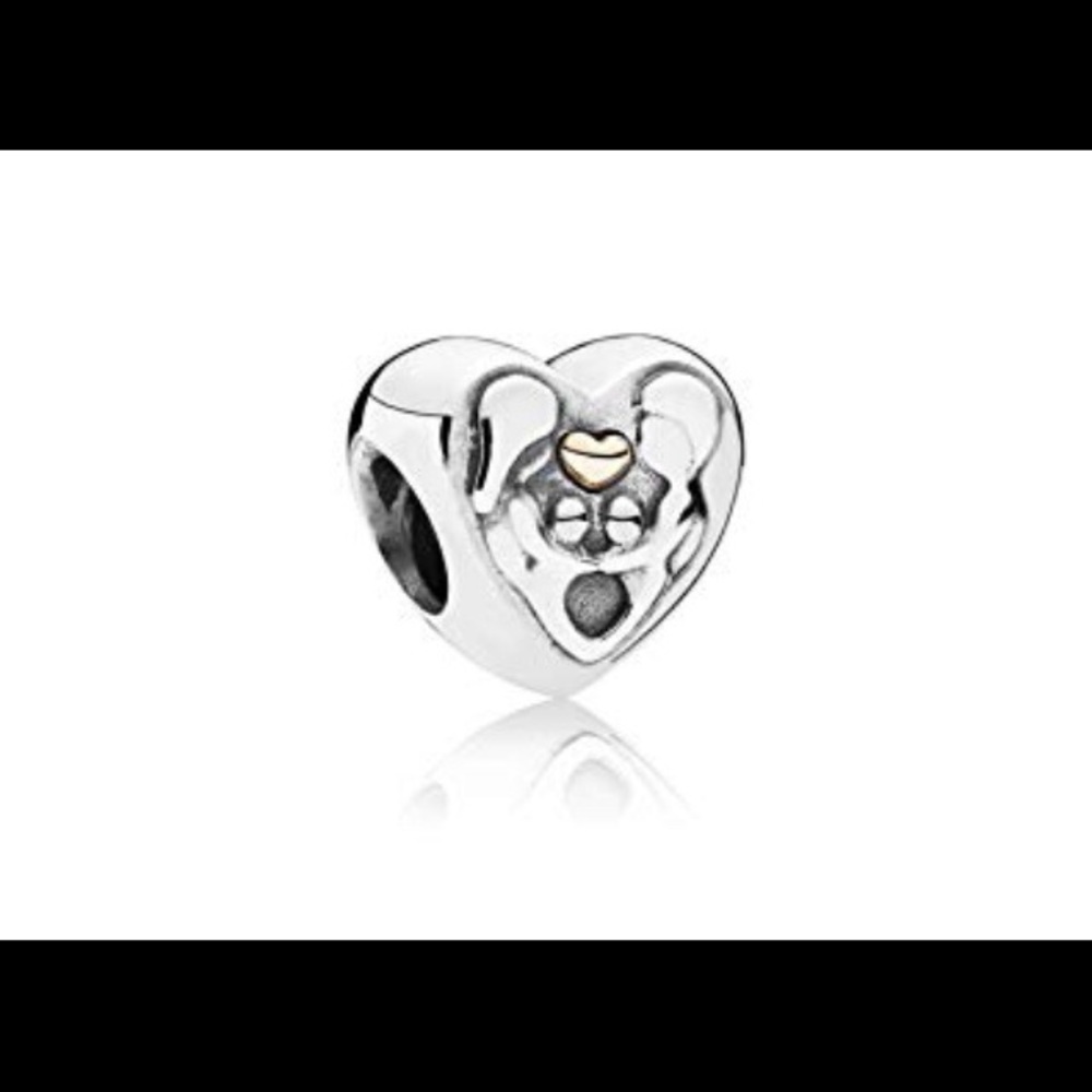 Pandora Heart Of The Family Charm, 791771